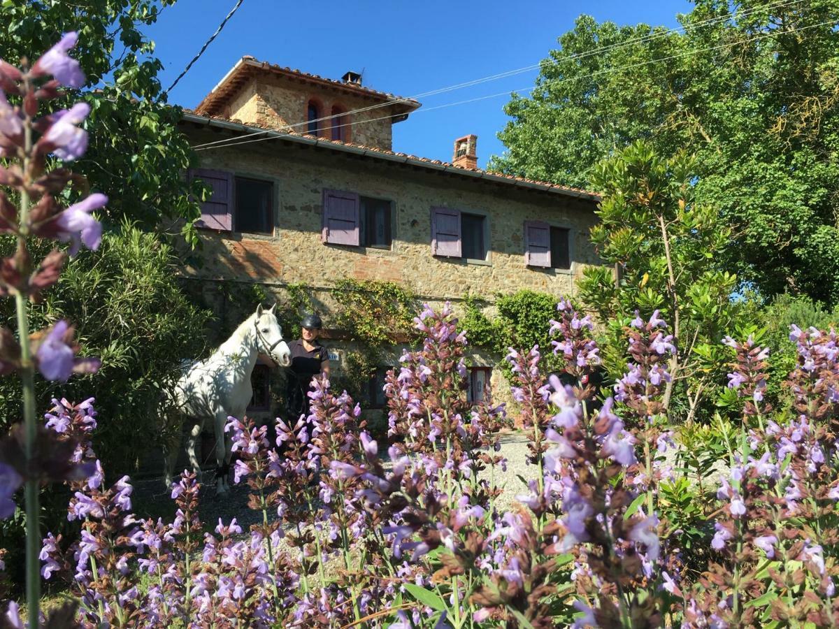 Farmhouse B&B Il Paretaio Barberino di Val dʼElsa Extérieur photo