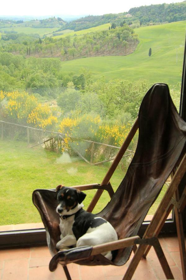 Farmhouse B&B Il Paretaio Barberino di Val dʼElsa Extérieur photo