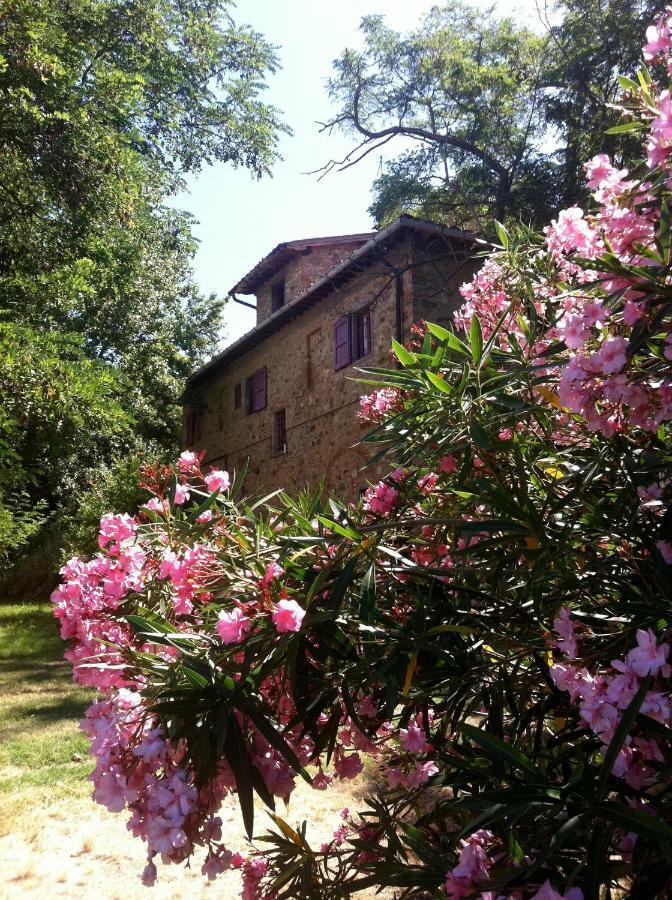 Farmhouse B&B Il Paretaio Barberino di Val dʼElsa Extérieur photo