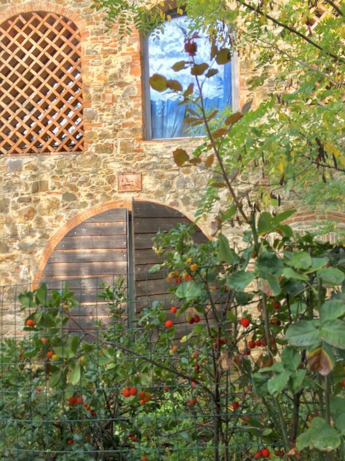 Farmhouse B&B Il Paretaio Barberino di Val dʼElsa Extérieur photo